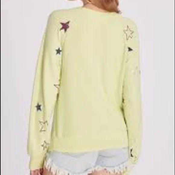 🔥WILDFOX🔥SUPERSTAR RAGLAN BAGGY BEACH JUMPER SWEATSHIRT SUNNY LIME RARE - Picture 3 of 5